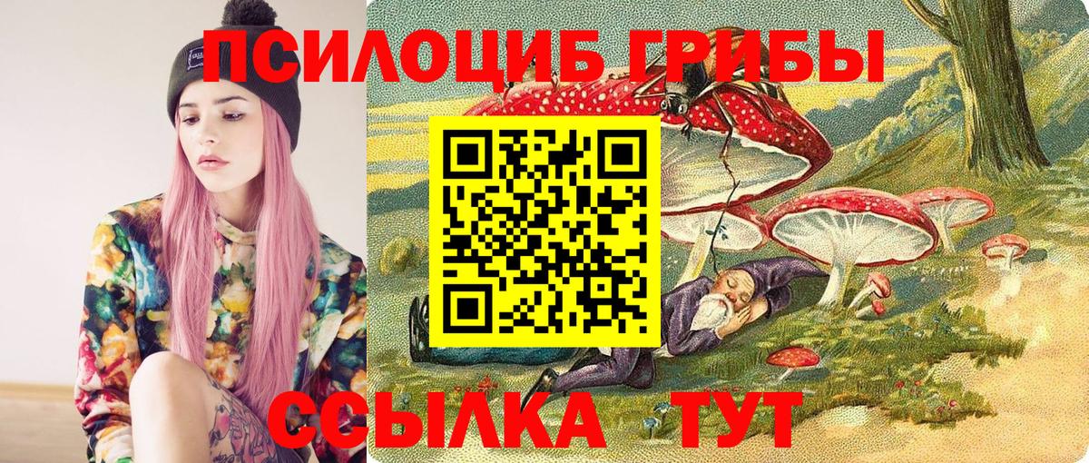 Бор  Галлюциногенные грибы MAGIC MUSHROOMS  сколько стоит  Вход с VPN 